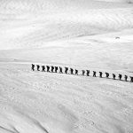 photo d'un groupe en trekking à Lonyearbyen
